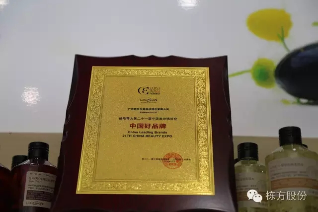 科技引領(lǐng)美麗▏棟方股份榮獲“中國好品牌獎”！
