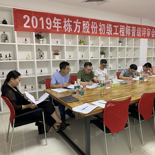 匠心筑夢，人才培養(yǎng)丨棟方股份2019初級工程師晉級評審會順利舉行